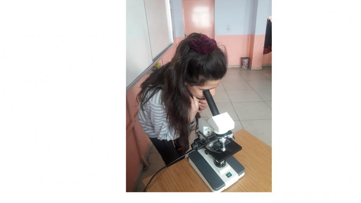 Mikroskopla Saç Telini İnceledik 